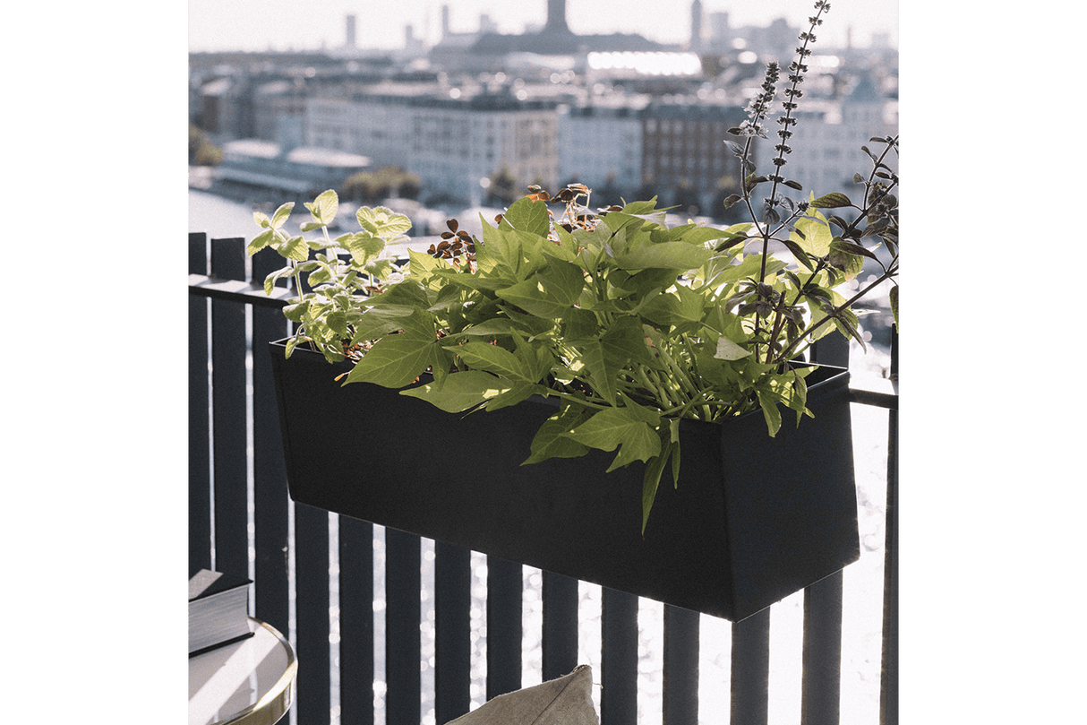 Liva Schwarz Balkonblumenkasten mit Bewässerungssystem 60 / 80 / 100 cm