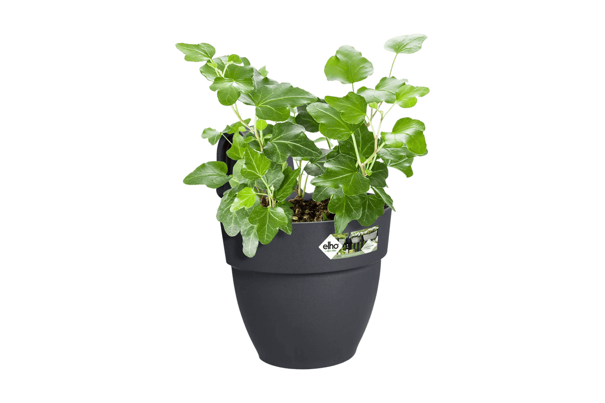 Vibia Campana Hängetopf