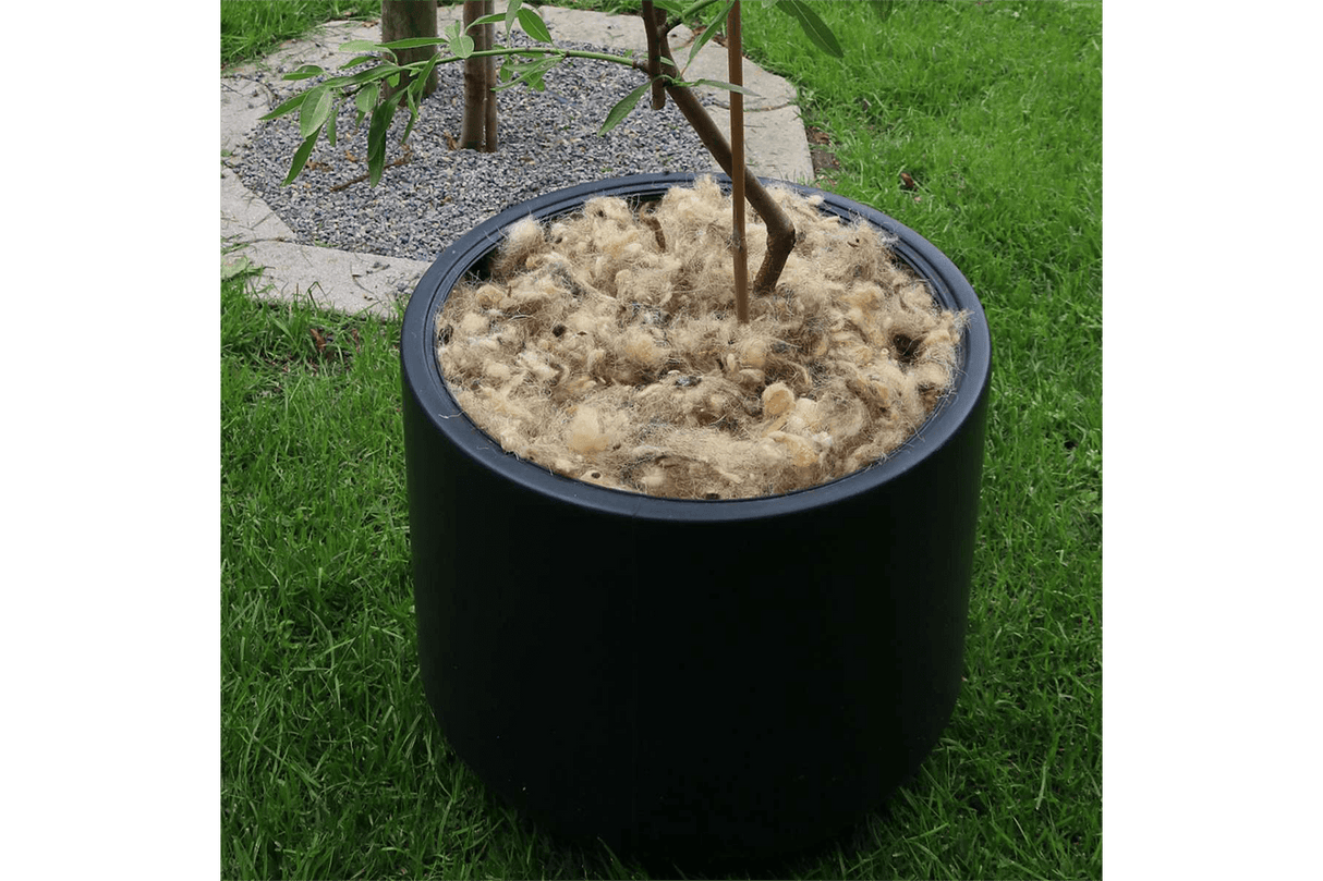 Gartenwollflocken