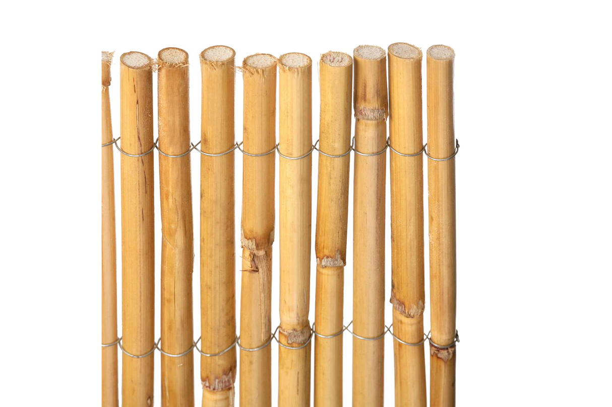 Macao Bambus-Balkonsichtschutz 300 x 90 cm