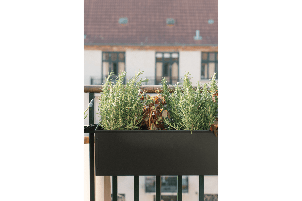 Liva Schwarz Balkonblumenkasten mit Bewässerungssystem 60 / 80 / 100 cm