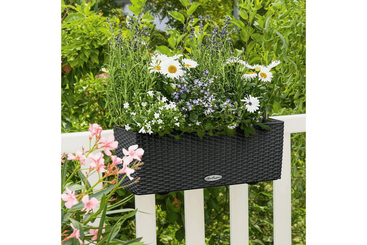 Cottage Balkonblumenkasten mit Bewässerungssystem 50 cm