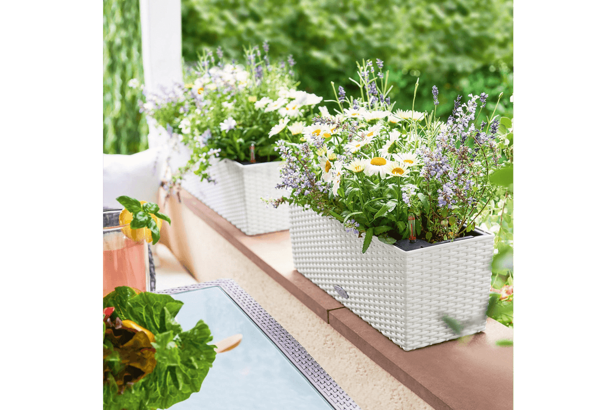 Cottage Balkonblumenkasten mit Bewässerungssystem 50 cm