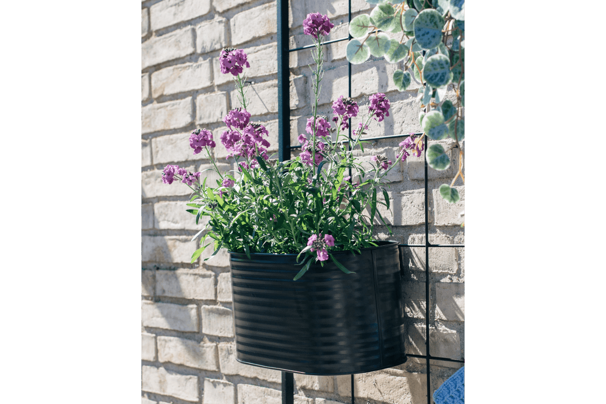 Ovalina Rillo Pflanzenbehalter für Gitter 30 x 17 cm schwarz
