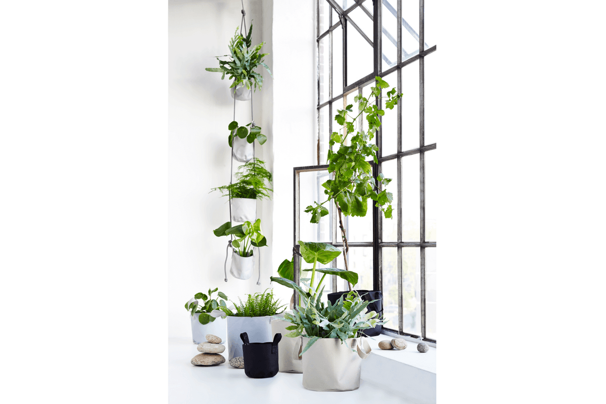 Vertikal hängende Blumentopfe für Wand und Decke