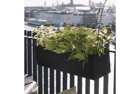 Liva schwarz Balkonblumenkasten 60 / 80 / 100 cm
