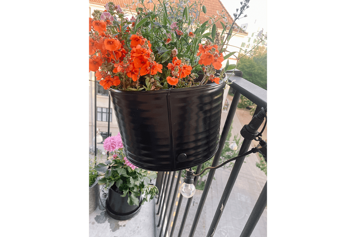 Olga schwarz Balkonblumenkasten 60 cm