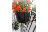 Olga schwarz Balkonblumenkasten 60 cm