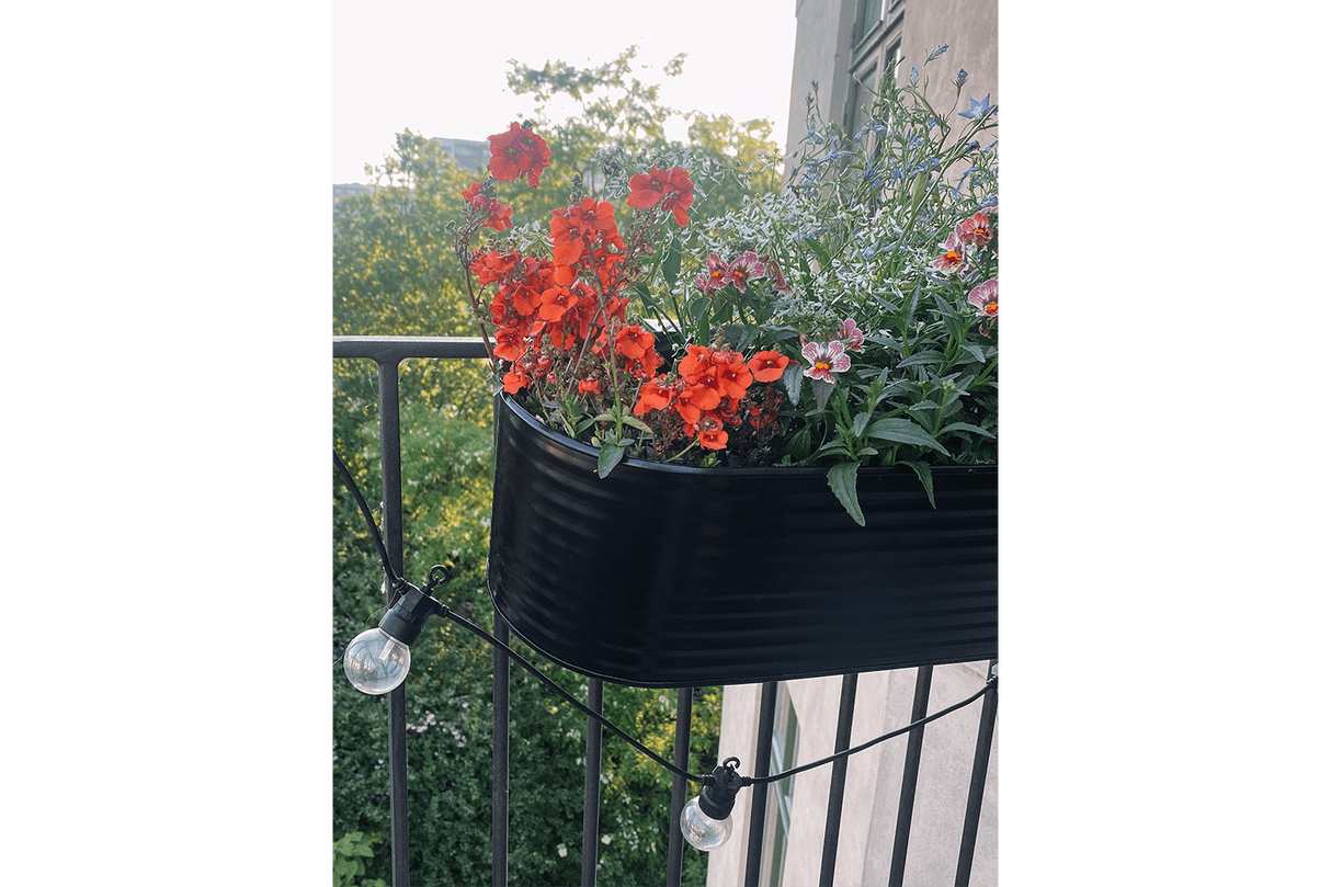 Olga schwarz Balkonblumenkasten 60 cm