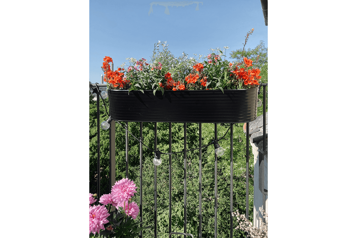 Olga schwarz Balkonblumenkasten 60 cm