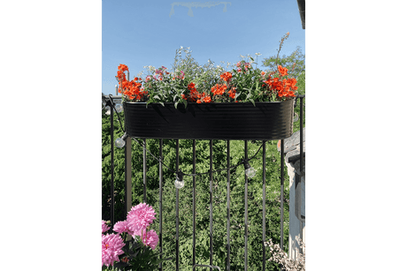 Olga schwarz Balkonblumenkasten 60 cm