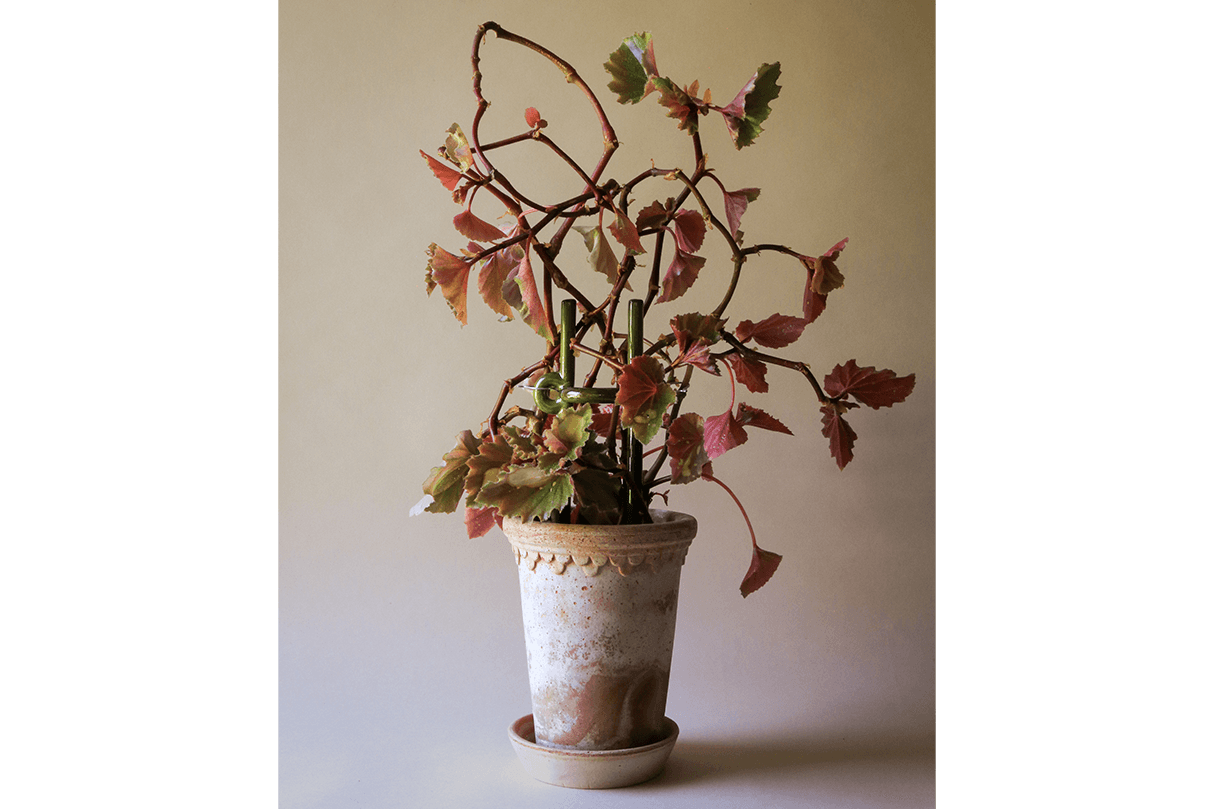 Folk Hinto Keramik-Pflanzenstütze