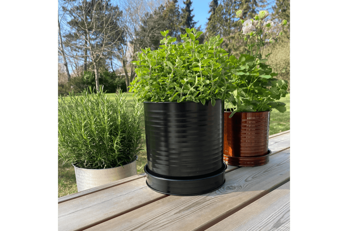 Rita Rillo Blumentopf Ø17 cm