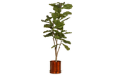 Rita Rillo blumetopf Ø22 cm