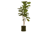 Rita Rillo blumetopf Ø22 cm