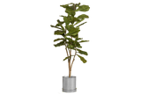 Rita Rillo blumetopf Ø22 cm