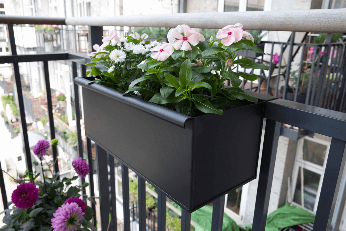 Esther Balkonblumenkasten Schwarz 40 / 60 / 80 cm