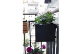 Esther Balkonblumenkasten Schwarz 40 / 60 / 80 cm