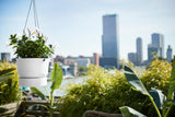 Greenville Hängeblumentopf Ø24 cm