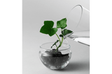 Grow Gewächshaus Design House Stockholm