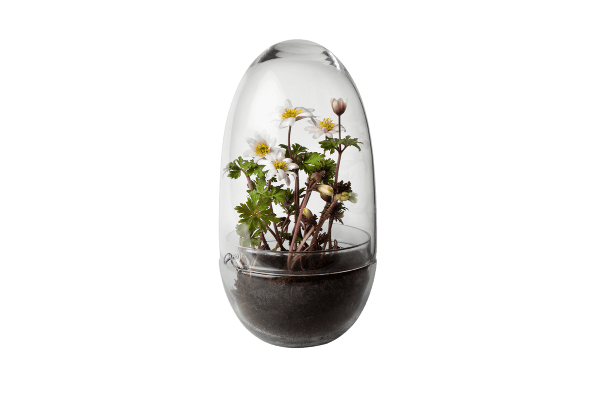 Grow Gewächshaus Design House Stockholm