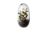 Grow Gewächshaus Design House Stockholm