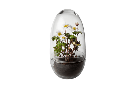 Grow Gewächshaus Design House Stockholm