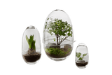 Grow Gewächshaus Design House Stockholm