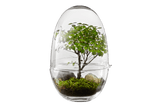 Grow Gewächshaus Design House Stockholm