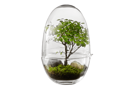 Grow Gewächshaus Design House Stockholm
