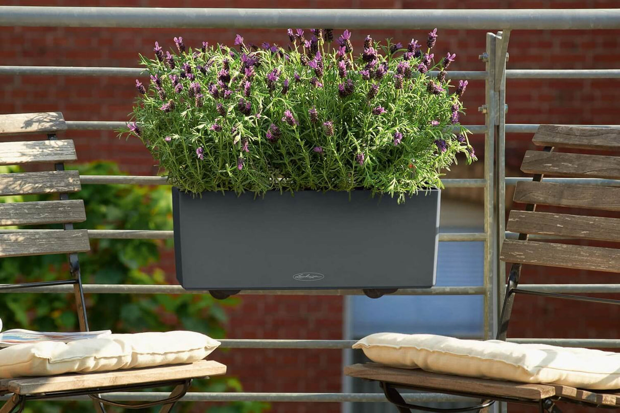 Balconera Balkonkasten mit Bewässerungssystem 50 cm