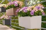 Balconera balkonkasten mit Bewässerungssystem 80 cm