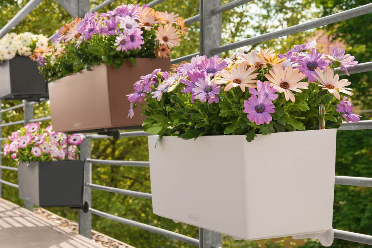 Balconera balkonkasten mit Bewässerungssystem 80 cm