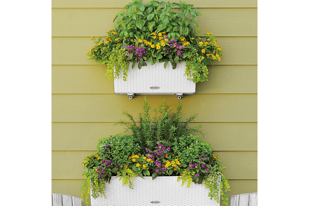 Cottage Balkonblumenkasten mit Bewässerungssystem 50 cm