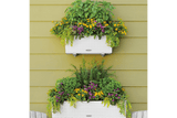 Cottage Balkonblumenkasten mit Bewässerungssystem 50 cm