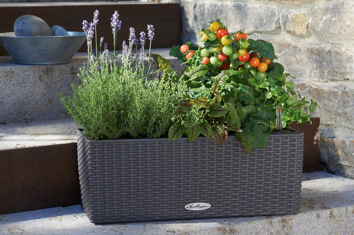 Cottage Balkonblumenkasten mit Bewässerungssystem 50 cm