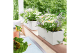 Cottage Balkonblumenkasten mit Bewässerungssystem 50 cm