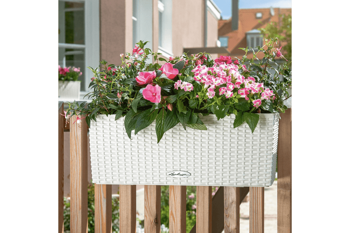 Cottage Balkonblumenkasten mit Bewässerungssystem 50 cm