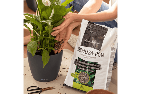 Pon Pflanzen Substrat 3 liter