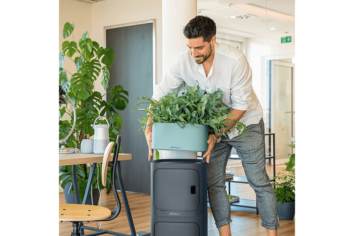 Pila color Pflanzgefäss für 4 Blumentopfe