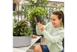 Pila color Pflanzgefäss für 4 Blumentopfe