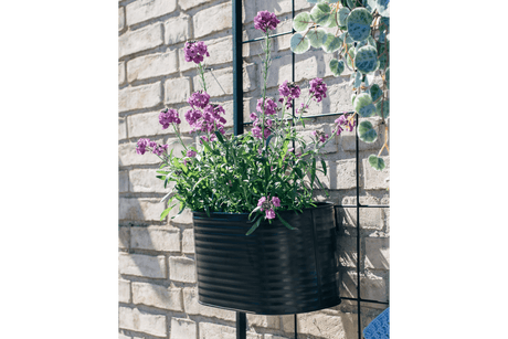 Ovalina Rillo Pflanzenbehalter für Gitter 30 x 17 cm schwarz