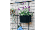 Ovalina Pflanzenbehalter für Gitter 30 x 17 cm schwarz