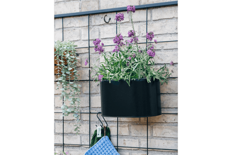 Ovalina Pflanzenbehalter für Gitter 30 x 17 cm schwarz