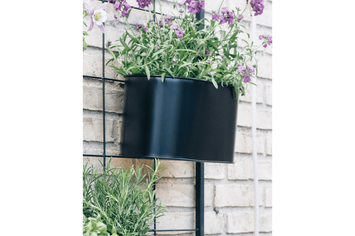 Ovalina Pflanzenbehalter für Gitter 30 x 17 cm schwarz