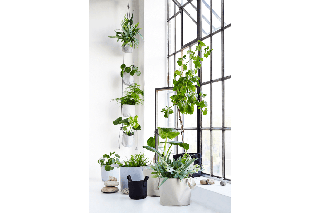 Hängender Blumentopf für Wand und Decke