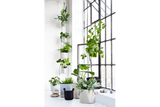 Hängender Blumentopf für Wand und Decke