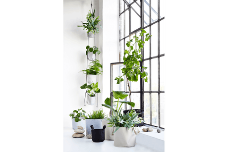 Hängender Blumentopf für Wand und Decke