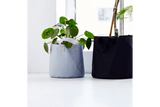 Hängender Blumentopf für Wand und Decke