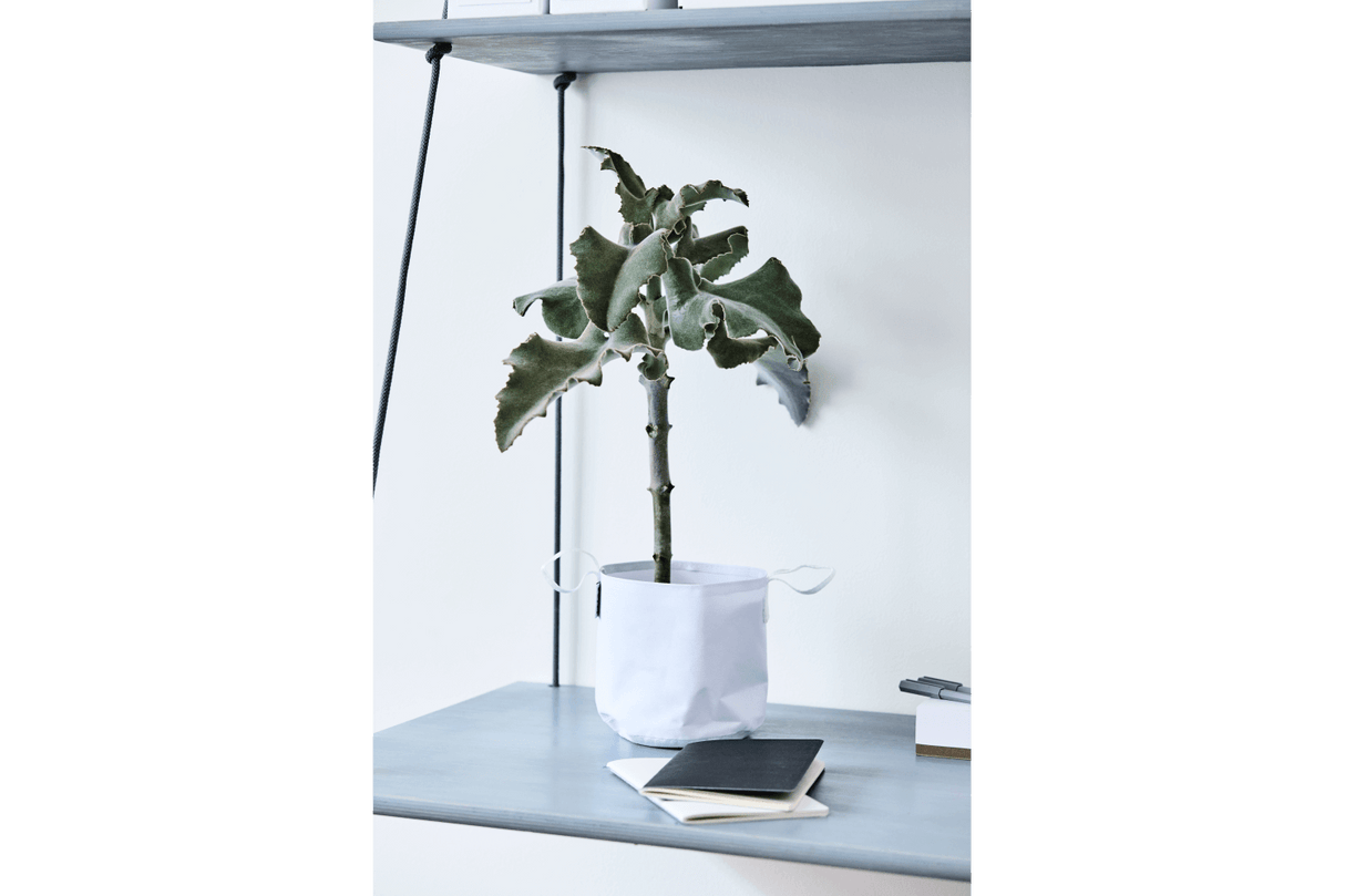 Vertikal hängende Blumentopfe für Wand und Decke